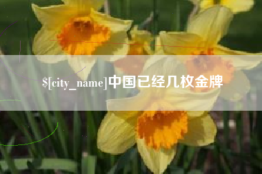 肥城中国已经几枚金牌