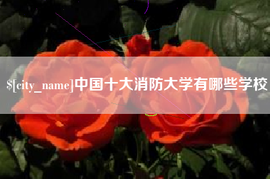 肥城中国十大消防大学有哪些学校