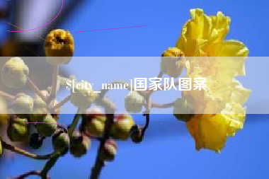 肥城国家队图案