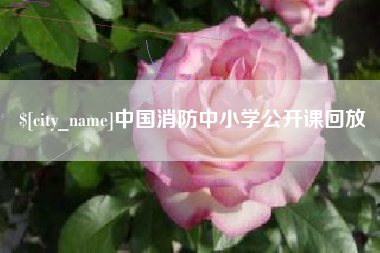 肥城中国消防中小学公开课回放