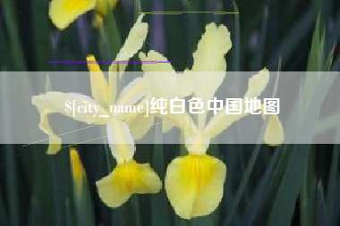 肥城纯白色中国地图
