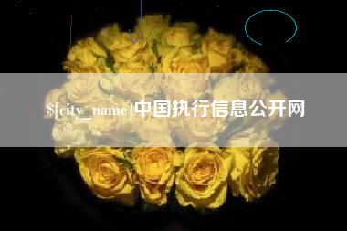 肥城中国执行信息公开网