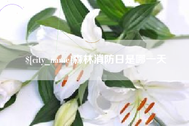 肥城森林消防日是哪一天