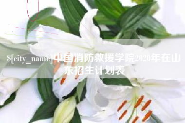 肥城中国消防救援学院2020年在山东招生计划表