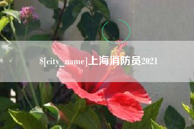 肥城上海消防员2021