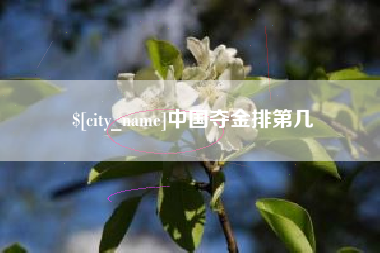 肥城中国夺金排第几