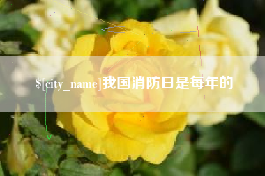 肥城我国消防日是每年的