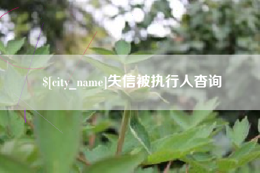 肥城失信被执行人杳询