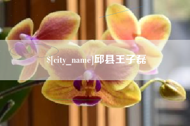 肥城邱县王子磊