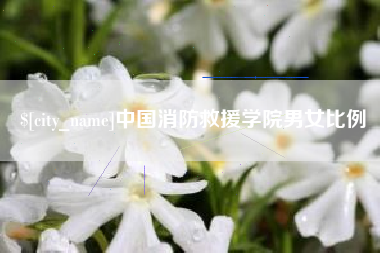 肥城中国消防救援学院男女比例
