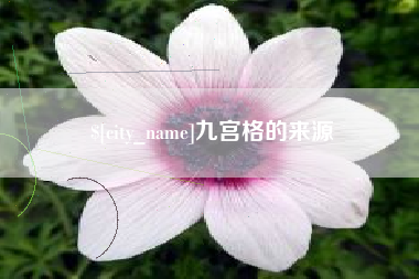 肥城九宫格的来源