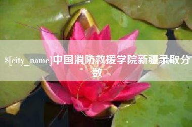 肥城中国消防救援学院新疆录取分数