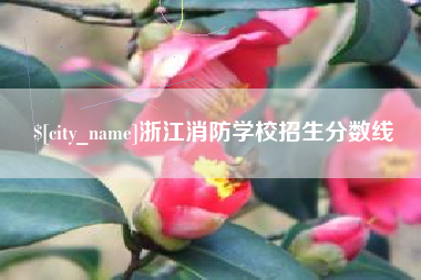 肥城浙江消防学校招生分数线
