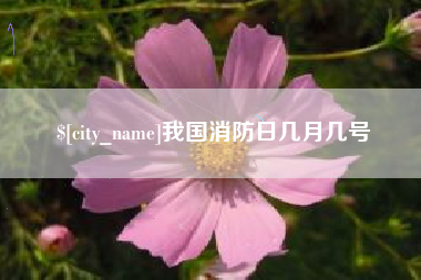 肥城我国消防日几月几号