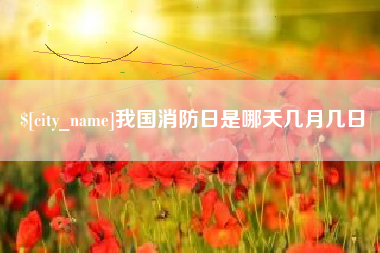 肥城我国消防日是哪天几月几日