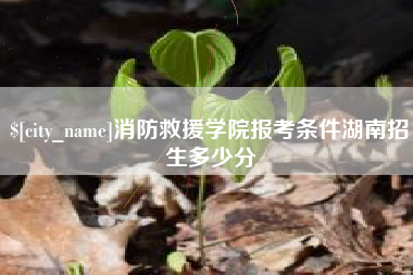 肥城消防救援学院报考条件湖南招生多少分