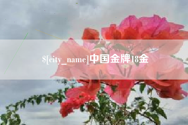 肥城中国金牌18金
