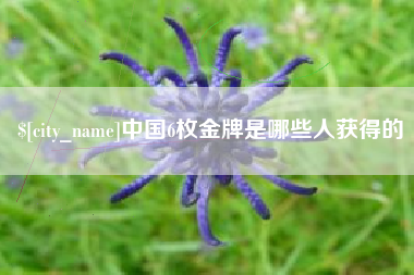 肥城中国6枚金牌是哪些人获得的