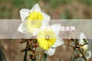 肥城奥运会39块金牌
