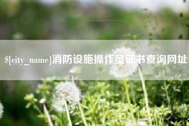 肥城消防设施操作员证书查询网址
