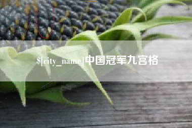 肥城中国冠军九宫格