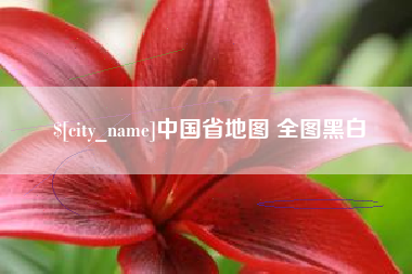 肥城中国省地图 全图黑白