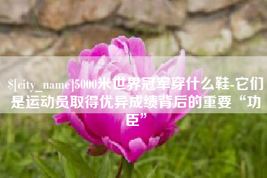 肥城5000米世界冠军穿什么鞋-它们是运动员取得优异成绩背后的重要“功臣”