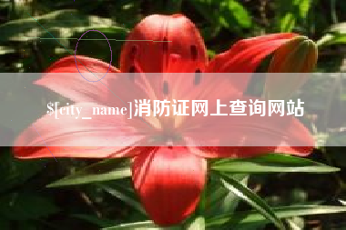 肥城消防证网上查询网站