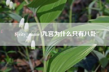 肥城九宫为什么只有八卦