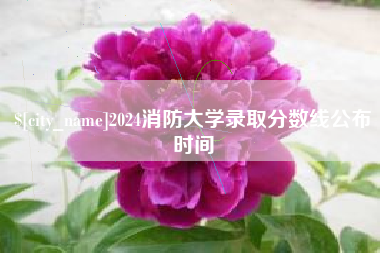 肥城2024消防大学录取分数线公布时间