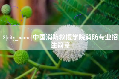 肥城中国消防救援学院消防专业招生简章