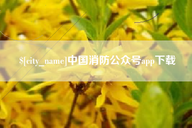 肥城中国消防公众号app下载