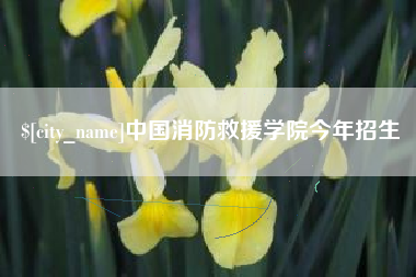 肥城中国消防救援学院今年招生