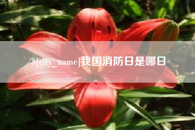 肥城我国消防日是哪日
