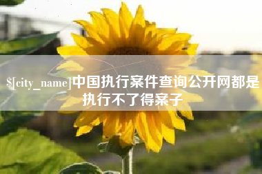 肥城中国执行案件查询公开网都是执行不了得案子