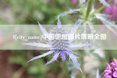 肥城中国地图图片清晰全图