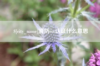 肥城消防ccc认证什么意思