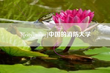肥城中国的消防大学
