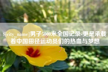 肥城男子5000米全国记录-更是承载着中国田径运动员们的热血与梦想