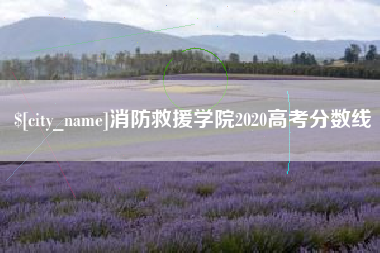 肥城消防救援学院2020高考分数线