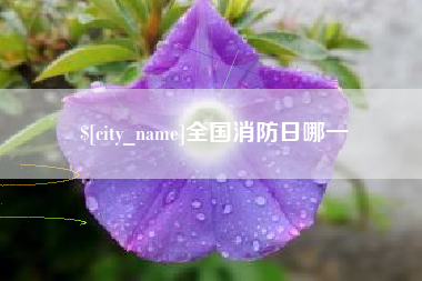肥城全国消防日哪一