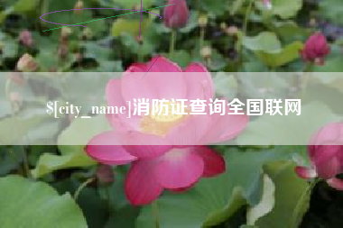 肥城消防证查询全国联网