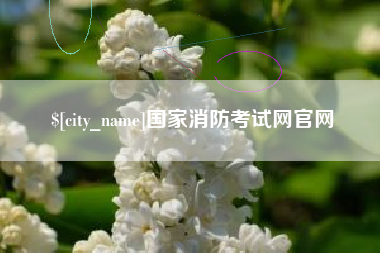 肥城国家消防考试网官网