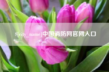 肥城中国消防网官网入口