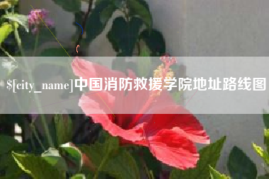 肥城中国消防救援学院地址路线图