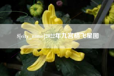 肥城2022年九宫格飞星图