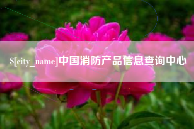 肥城中国消防产品信息查询中心