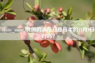 肥城我国的消防日是每年的11月9日对吗？