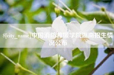 肥城中国消防救援学院湖南招生情况公布