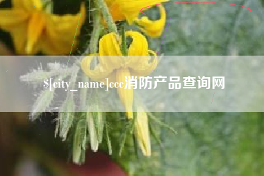 肥城ccc消防产品查询网